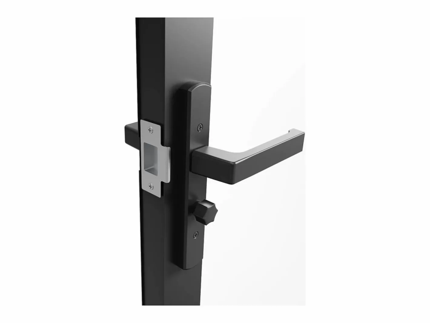 Vente-unique Puerta Con Marco|Mueble de puerta reversible de doble hoja con cristal templado - 2 x Al 204 x An 73 cm - LOXTON