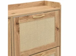 Mueble para zapatos moderno - con puertas de ratán - 4 puertas - estructura metálica - color natural^ModernLuxe Online