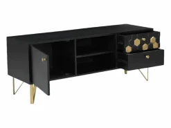 Vente-unique Mueble Tv|Mueble TV con 1 puerta, 2 cajones y 2 estantes de madera de mango - y Dorado - BELORI