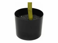 Olivo artificial 450 hojas 120 cm^ Best