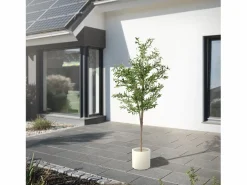 ML-DESIGN Olivo artificial Plantas artificiales Árbol artificial Planta artificial en mace Verde Sale