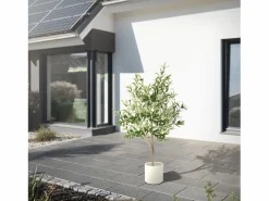 Olivo artificial Plantas artificiales Árbol artificial Planta artificial en mace^ML-DESIGN Clearance