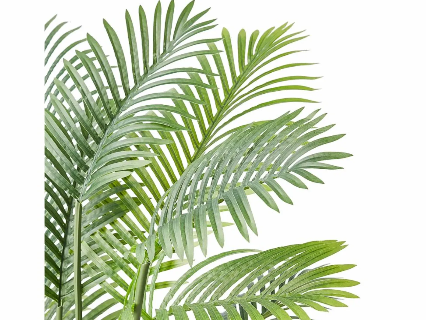 Palmera Artificial de Caña Dorada de 2 m de SucceBuy, Decoración Vegetal Realista de Imitación^ Sale