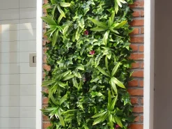 Pared vegetal sintética , protección anti-UV, pack de 3m², IKAZ^Vente-unique Hot