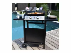 Plancha de gas MALA 2 quemadores 5kW + carrito^Happy Garden Online