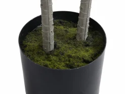 OZAIA Planta Artificial|Planta, arbusto, árbol artificial Yuca - Alt. 150 x Ancho 50 cm - - LYA