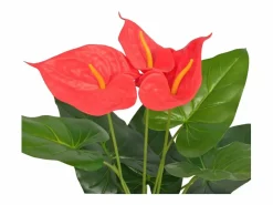 Planta artificial con maceta Anthurium 45 cm y Amarillo Rojo Clearance