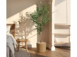 Planta artificial para Salón comedor en 60x60x145cm Olivo^MB Muebles Bonitos Online