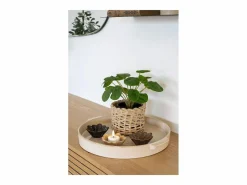 Planta artificial Pilea Planta china del dinero verde 28 cm^House Nordic Hot