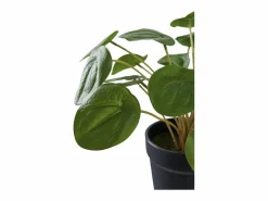 Planta artificial Pilea Planta china del dinero verde 28 cm^House Nordic Hot