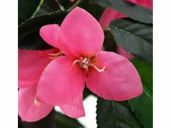Planta Artificial|Planta de rododendro artificial con maceta de 155 cm, y rosa