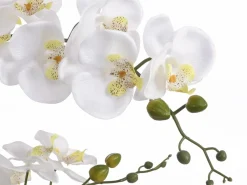 Planta, flor artificial orquídea - Alt. 65 x Ancho 54 cm- Blanco -TARA^OZAIA Best