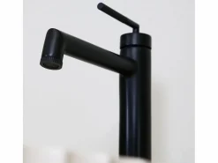 Portofino mezclador alto de lavabo mate^Essebagno Best