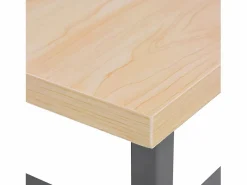 Prolenta Premium - Banco de trabajo de acero gris 120x60x85 cm^Garden Furniture Clearance