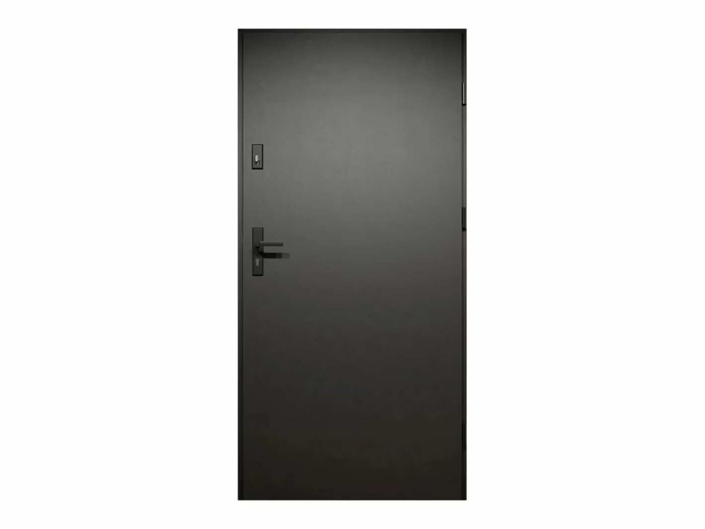 Puerta de entrada de acero Alt. 207 x L100 cm - y madera - apertura izquierda - COBRITA^Vente-unique Sale