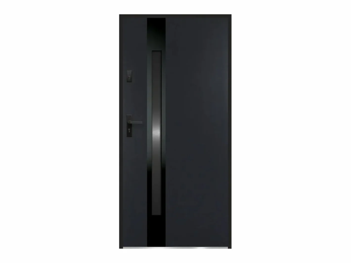 Puerta de entrada de acero y acero inoxidable Alt. 207 x L100 cm antracita ahumado apertura derecha BRAGA^Vente-unique Best