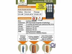 GD Menuiseries Puerta De Entrada|Puerta de Entrada de Madera Exo Modelo 'Alicia' 215X90 Zurda con Manilla y Barril sin manilla