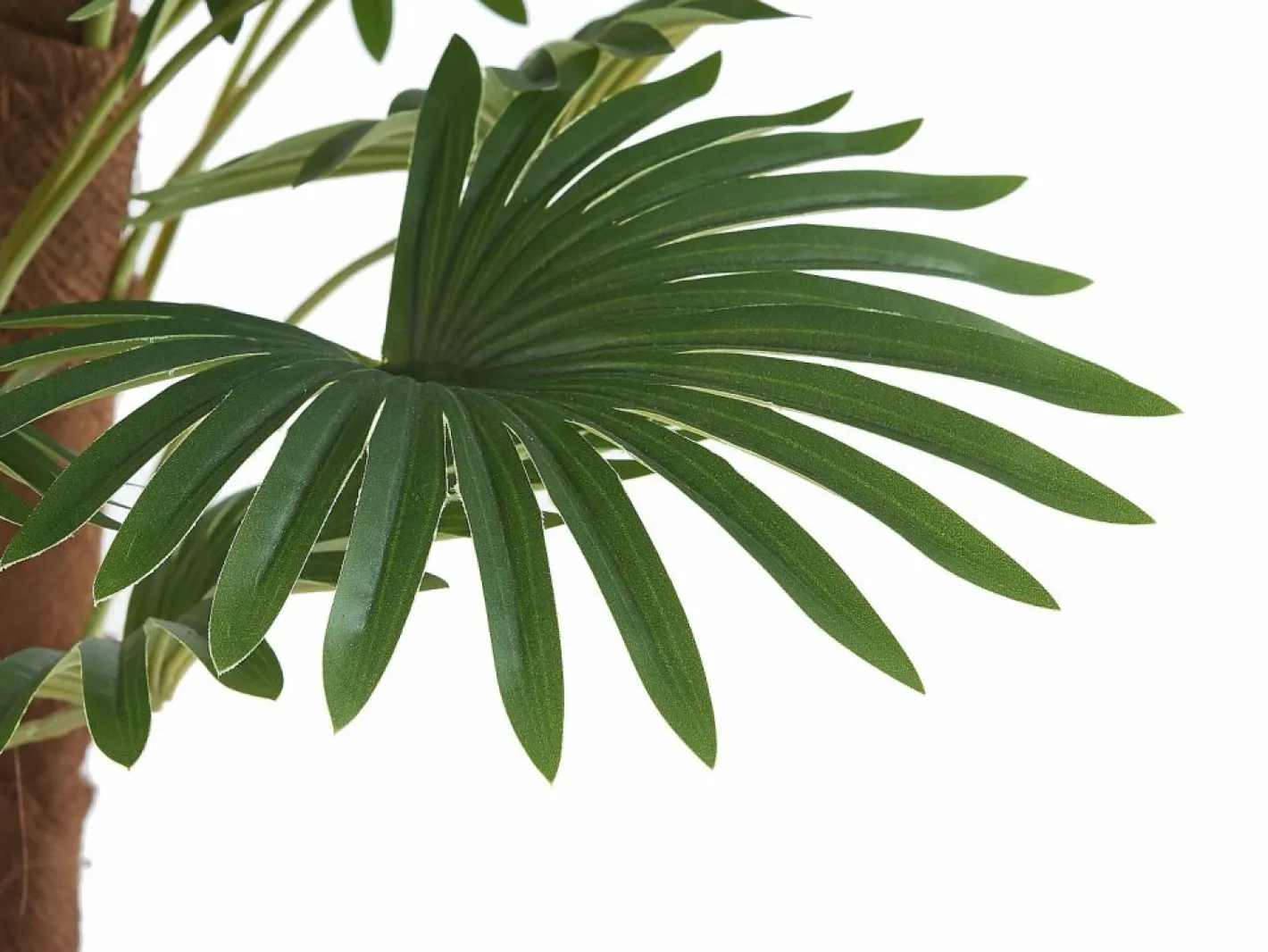 OZAIA Árbol artificial tipo palmera con tronco natural RHAPIS Verde Best