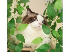ModernLuxe Árbol para gatos de 190 cm de alto - con 4 plataformas y 1 agujero para gatos - láminas extraíbles - Verde Sale