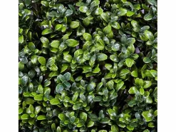 NORTENE Rollo jardin vertical boj 100 x 100 cm 1X1 M Verde Outlet