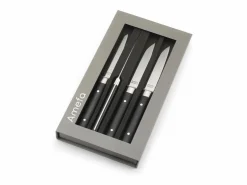 Amefa Cubierto|Set de 4 cuchillos para carne Fusion Noir - Hoja lisa y mango de ABS - 22 cm