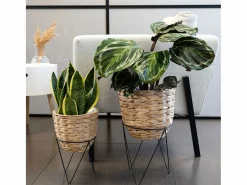 Set de 2 maceteros Jacinto MOA Vinthera natural^ New