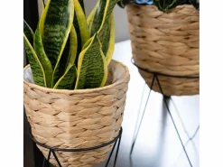 Set de 2 maceteros Jacinto MOA Vinthera natural^ New