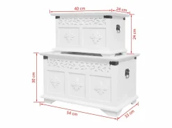 vidaxl Baúl Y Arcón|Accesorios De Almacenaje|Set de baúles de almacenamiento 2 unidades