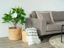 Set van 2 ronde decoratieve manden PASSO – Natuurlijke waterhyacint^Les Tendances Clearance