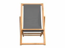 Silla de playa plegable madera maciza de teca ES49485 Gris Best