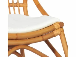 vidaxl Silla de ratán lino marrón claro Blanco Discount