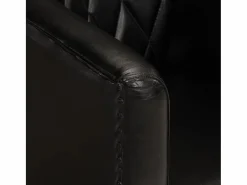 Clicnbuy Sillón De Piel|Sillón Estilo Cabriolet|Sillón butaca de cuero auténtico