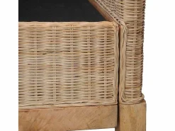 Sillón con cojines ratán natural^vidaxl New