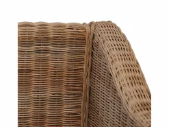 Sillón con cojines ratán natural^vidaxl New