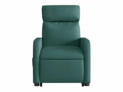 Sillón de salón | Silla | Sillón masaje eléctrico reclinable elevable tela verde oscuro SHL5032 Verde pino Sale