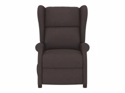 Sillón de salón | Silla | Sillón orejero reclinable eléctrico de tela marrón oscuro SHL3871 Marru00f3n Sale