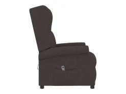 Sillón de salón | Silla | Sillón orejero reclinable eléctrico de tela marrón oscuro SHL3871 Marru00f3n Sale