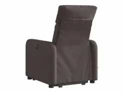 Sillón de salón | Silla | Sillón masaje eléctrico reclinable elevable tela marrón oscuro SHL8888 Marru00f3n Clearance