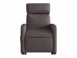 Sillón de salón | Silla | Sillón masaje eléctrico reclinable elevable tela marrón oscuro SHL8888 Marru00f3n Clearance