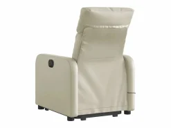 Sillón De Masaje|Sillón de salón | Silla | Sillón de masaje elevable eléctrico cuero sintético SHL7771