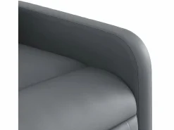 Sillón De Masaje|Sillón de salón | Silla | Sillón de masaje reclinable cuero sintético SHL9241