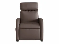 Sillón de salón | Silla | Sillón de masaje reclinable eléctrico cuero sintético marrón SHL8670^ Hot