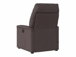 Sillón de salón | Silla | Sillón de masaje reclinable de tela marrón oscuro SHL7401^ Best