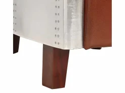 vidaxl Sillón De Piel|Sillon de aviador de cuero auténtico marrón