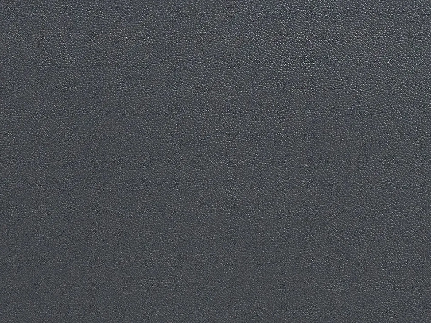 LINEA SOFA Todos Los Sofás|Sofá De Piel|Sofá Cuero vacuno color ángulo izquierdo NAHIA