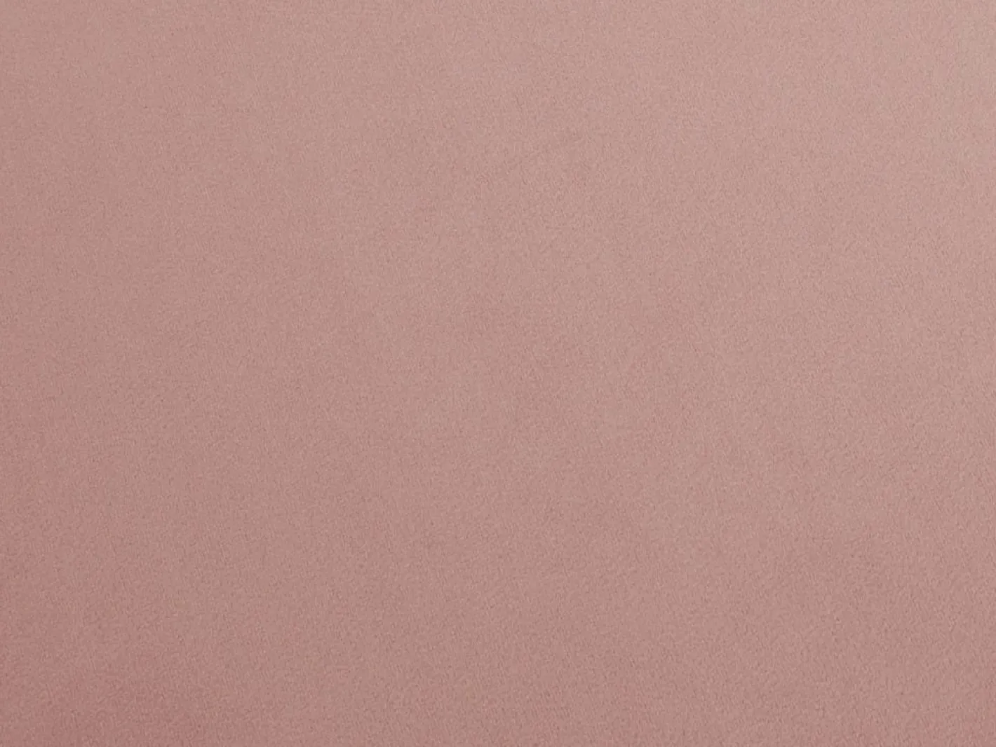 Vente-unique Sofá de 2 plazas de terciopelo DANDELION Rosa