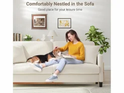 DripeX Sofá de 3 plazas en terciopelo de Teddy, sofá de confort correcta en madera sólida, loveseat con reposabrazos, 193x79x89cm, , Beige New