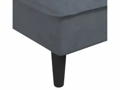 vidaxl Diván Cama|Sofá diván de terciopelo oscuro