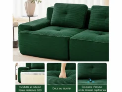 DripeX Sofás Club|Sofá Modular 2 plazas en Pana con 2 cojines, sin montaje, 204x104x69cm,