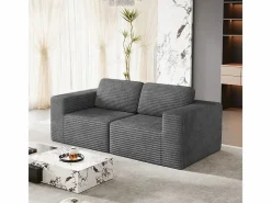 DripeX Sofá Modular 2 plazas en Pana, con 2 cojines, 202x101x82cm, Gris